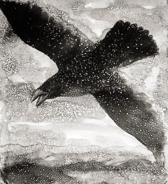 A black and white watercolor painting of a crow flying in a winter environment.